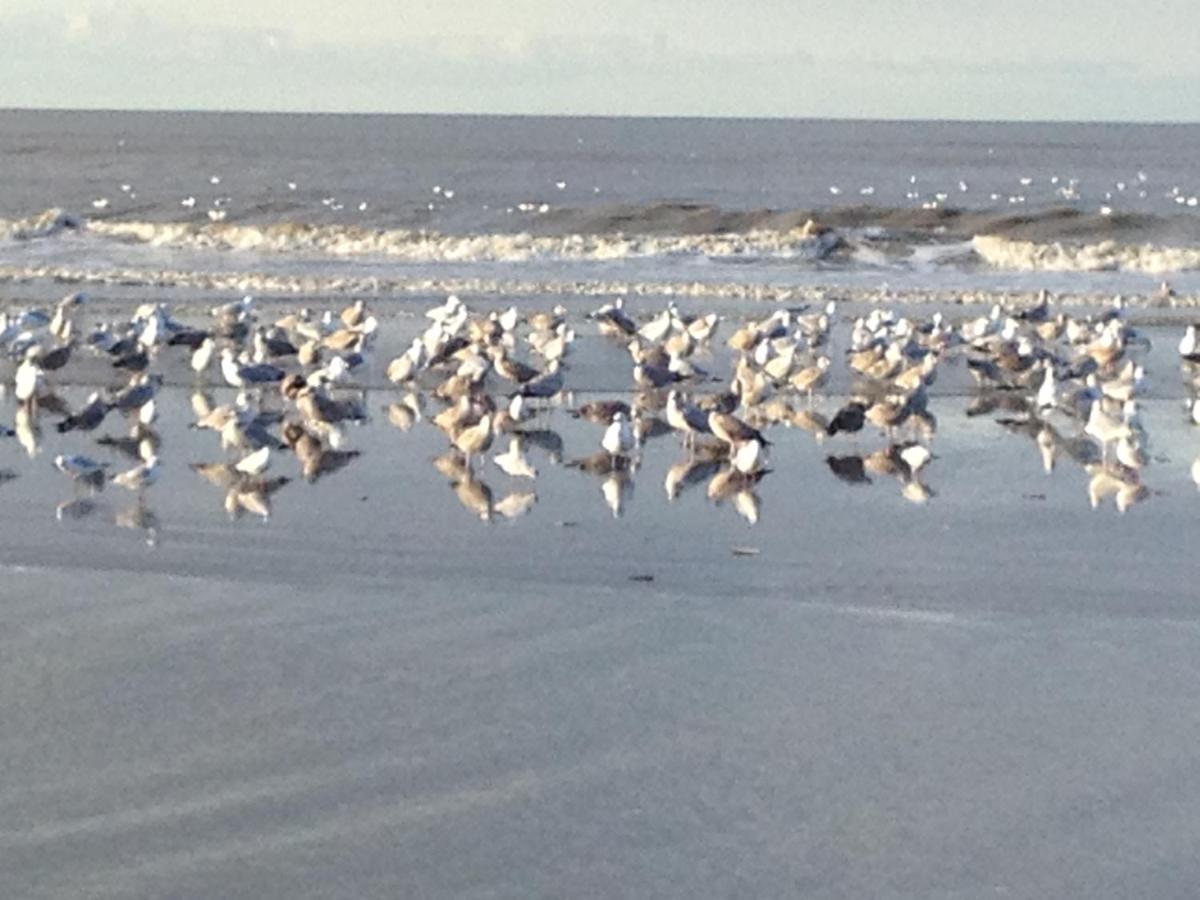 Strand En Meer Katwijk aan Zee Εξωτερικό φωτογραφία
